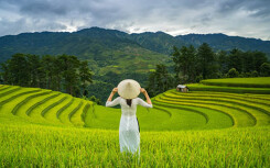 Mù Căng Chải được báo nước ngoài khen ngợi là điểm đến hàng đầu năm 2020