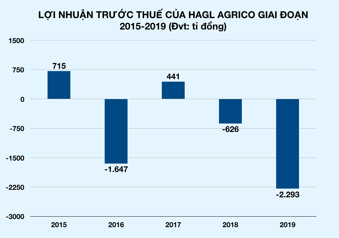 Công ty nông nghiệp của bầu Đức lỗ nặng gần 2.300 tỉ trong năm 2019 - Ảnh 3.