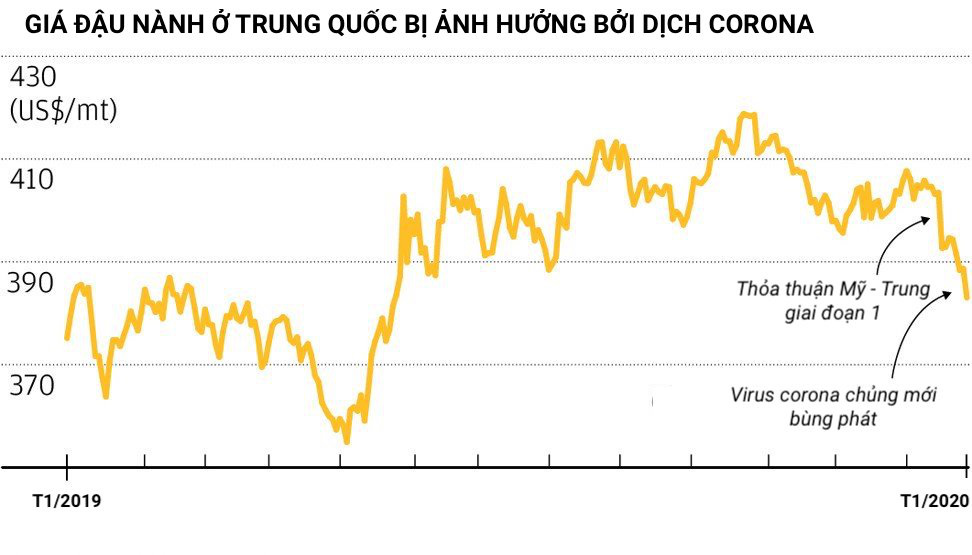 Dịch corona tạt một xô nước lạnh vào thoả thuận chấm dứt thương chiến Mỹ - Trung - Ảnh 1.