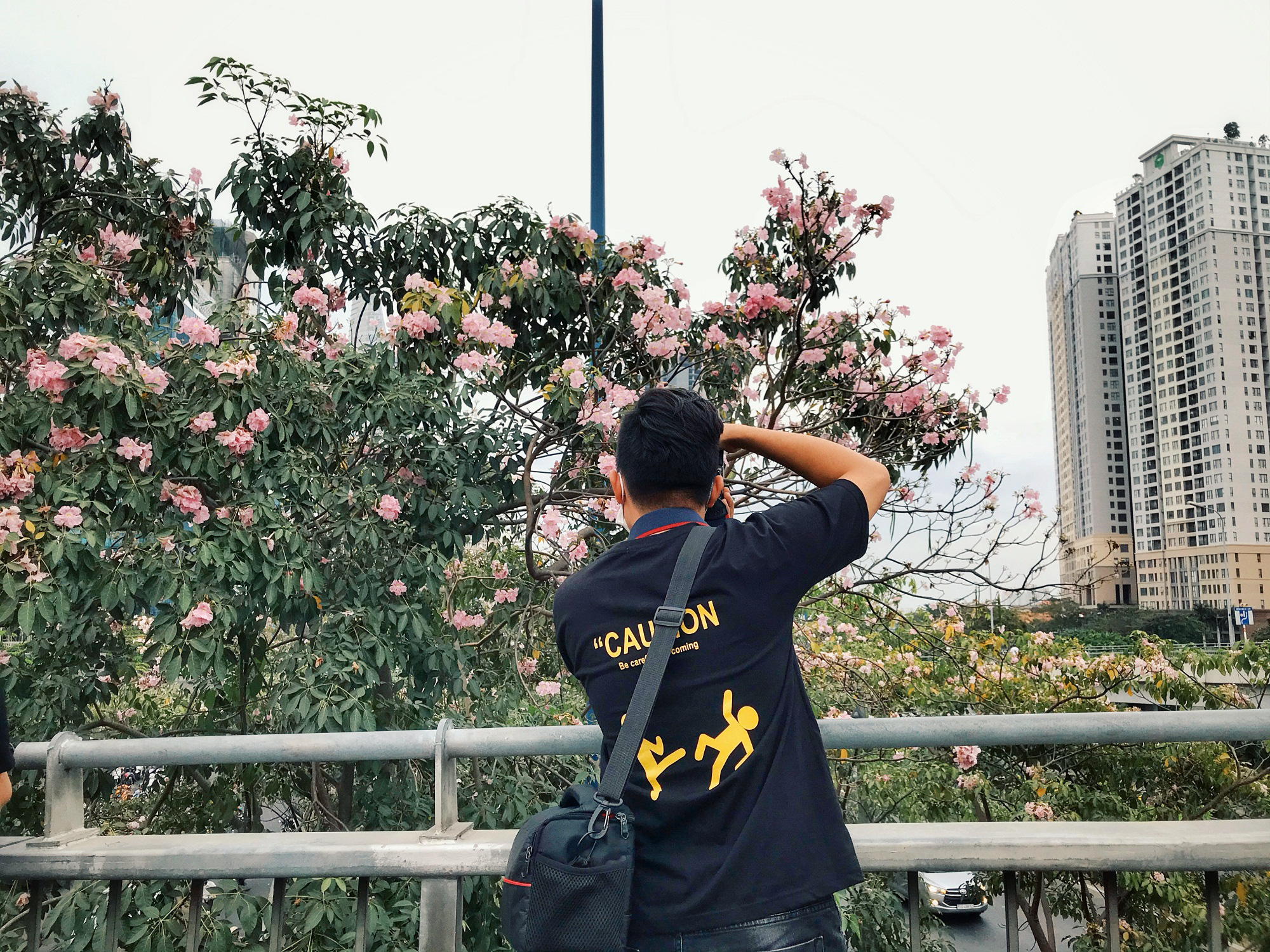 Người Sài Gòn xếp hàng chờ chụp ảnh cùng hoa kèn hồng - Ảnh 3. Người Sài Gòn xếp hàng chờ chụp ảnh cùng hoa kèn hồng - Ảnh 3.
