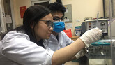 Việt Nam bắt đầu thử nghiệm thuốc điều trị bệnh do virus corona