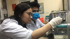 Việt Nam bắt đầu thử nghiệm thuốc điều trị bệnh do virus corona