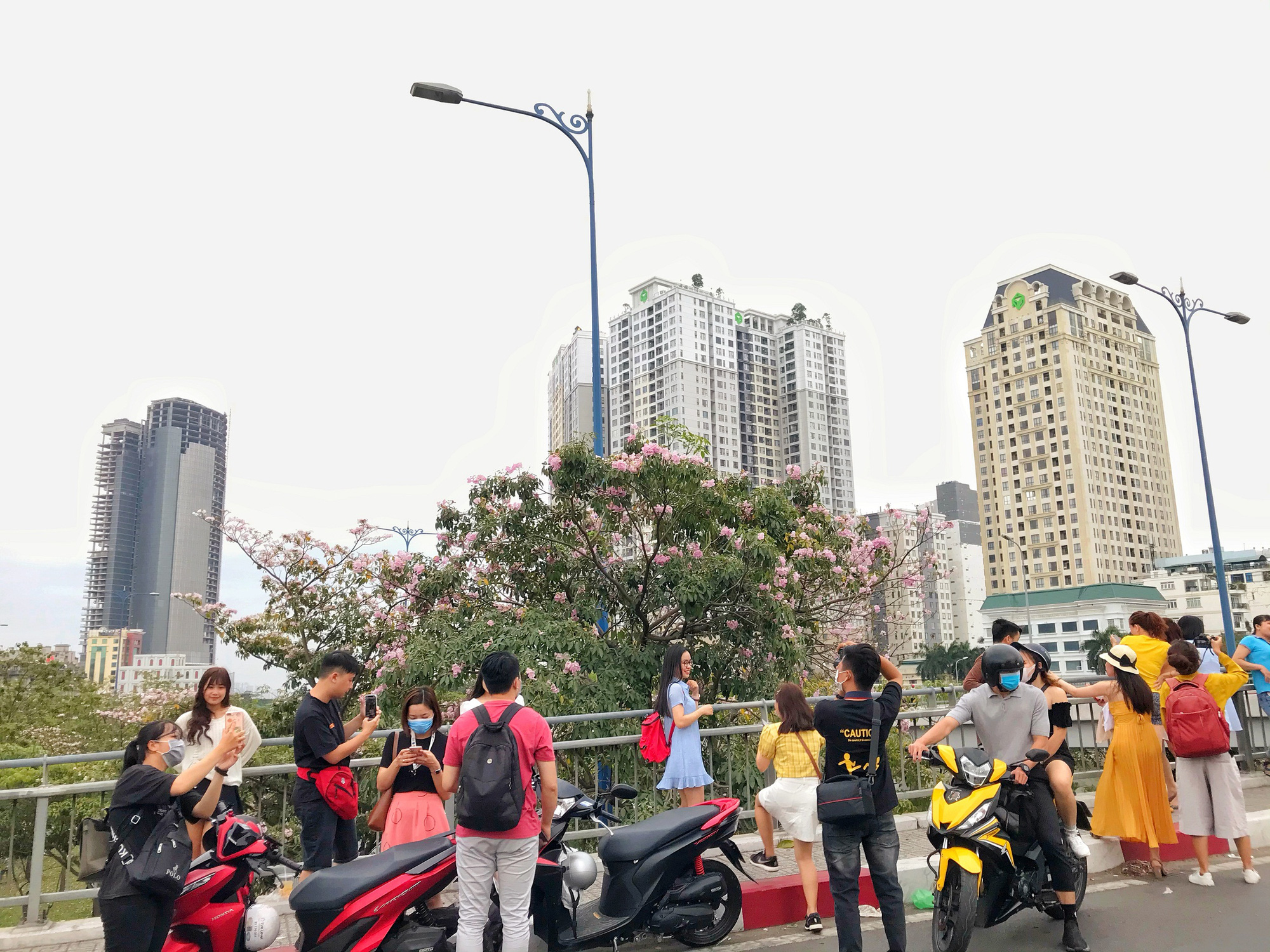 Người Sài Gòn xếp hàng chờ chụp ảnh cùng hoa kèn hồng - Ảnh 5. Người Sài Gòn xếp hàng chờ chụp ảnh cùng hoa kèn hồng - Ảnh 5.
