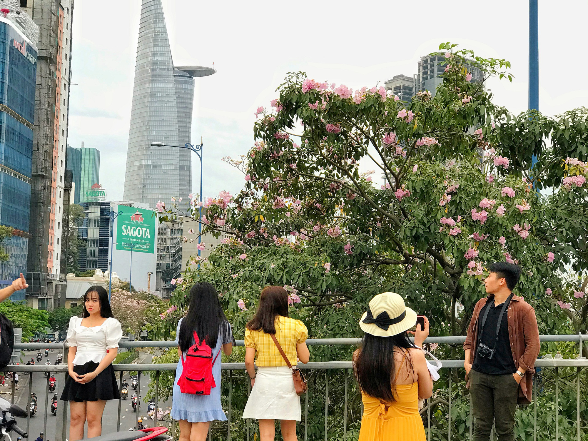 Người Sài Gòn xếp hàng chờ chụp ảnh cùng hoa kèn hồng - Ảnh 4. Người Sài Gòn xếp hàng chờ chụp ảnh cùng hoa kèn hồng - Ảnh 4.