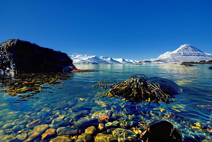 Thông tin về địa chỉ, giờ làm việc của Tổng Lãnh sự quán và Đại Sứ quán Iceland tại Việt Nam. - Ảnh 1. Thông tin về địa chỉ, giờ làm việc của Tổng Lãnh sự quán và Đại Sứ quán Iceland tại Việt Nam. - Ảnh 1.