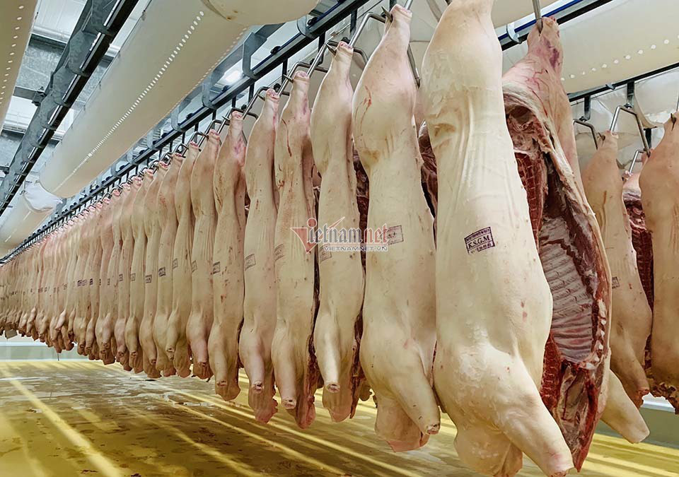 Nguồn thịt lợn trong nước tăng mạnh, nhập khẩu bất ngờ gặp khó - Ảnh 1. Nguồn thịt lợn trong nước tăng mạnh, nhập khẩu bất ngờ gặp khó - Ảnh 1.