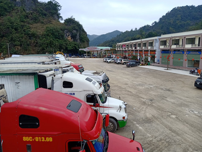 500 xe trái cây vẫn đang nằm chờ ở cửa khẩu Lạng Sơn - Ảnh 6. 500 xe trái cây vẫn đang nằm chờ ở cửa khẩu Lạng Sơn - Ảnh 6.