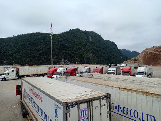 500 xe trái cây vẫn đang nằm chờ ở cửa khẩu Lạng Sơn - Ảnh 3. 500 xe trái cây vẫn đang nằm chờ ở cửa khẩu Lạng Sơn - Ảnh 3.