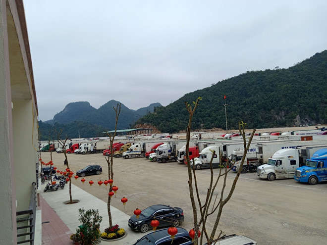 500 xe trái cây vẫn đang nằm chờ ở cửa khẩu Lạng Sơn - Ảnh 1. 500 xe trái cây vẫn đang nằm chờ ở cửa khẩu Lạng Sơn - Ảnh 1.