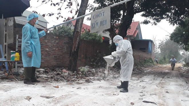 Cúm A/H5N6 trở lại, lệnh cấm bán tháo gia cầm ở vùng dịch - Ảnh 1.