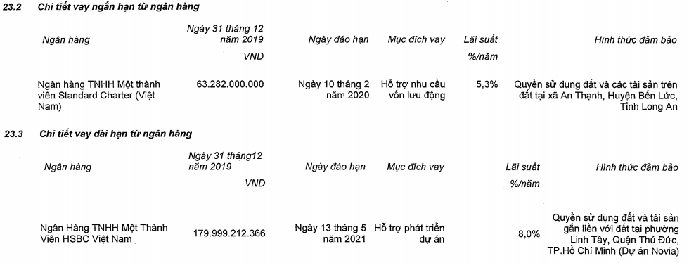 Doanh thu Nam Long cao nhất 5 quí gần đây nhờ bàn giao dự án Flora Novia đang thế chấp ngân hàng - Ảnh 2.