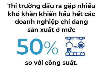 Núi nợ của Hoa Sen trên vai thép Cà Ná - Ảnh 2.