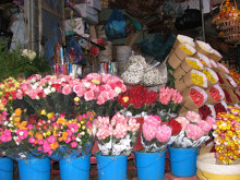 Giá hoa hồng Đà Lạt giảm sốc mùa Valentine