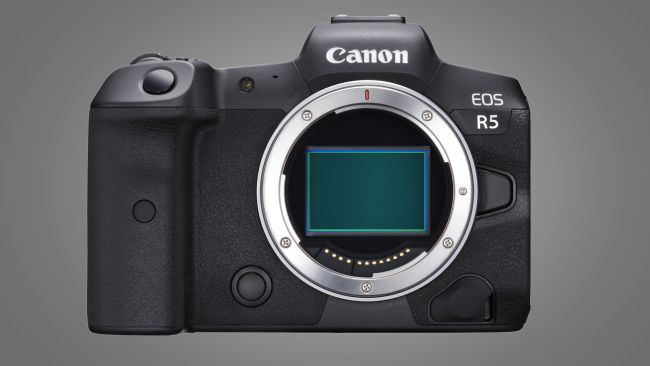 Canon công bố máy ảnh không gương lật EOS R5 có khả năng quay video 8K - Ảnh 2.