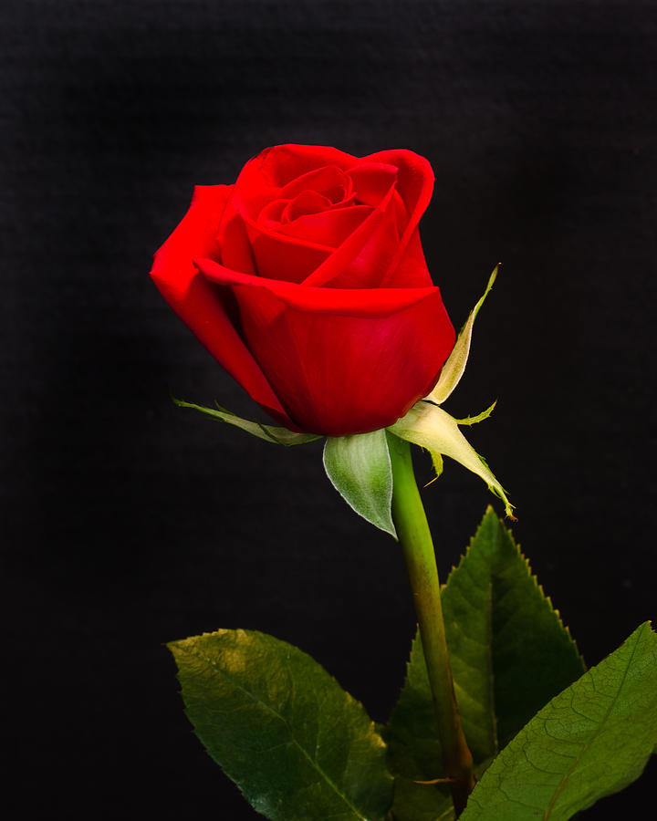 Lời chúc Valentine độc đáo và ngọt ngào nhất cho Vợ 2020 - Ảnh 2. Lời chúc Valentine độc đáo và ngọt ngào nhất cho Vợ 2020 - Ảnh 2.