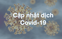 Thông tin mới nhất về dịch virus corona (Covid-19) tối 26/2: Người cuối cùng dương tính tại Việt Nam xuất viện, số ca nhiễm ở Hàn Quốc tăng lên 1.261 người