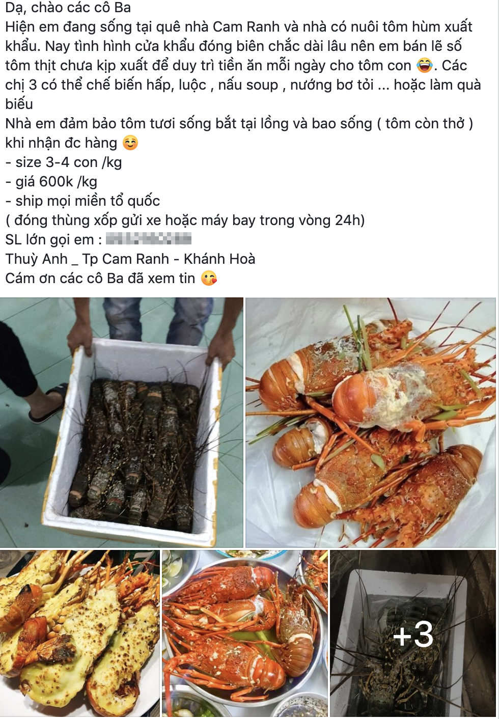 Cua hoàng đế, tôm hùm Alaska... cũng rớt giá vì dịch Covid-19 - Ảnh 3. Cua hoàng đế, tôm hùm Alaska... cũng rớt giá vì dịch Covid-19 - Ảnh 3.