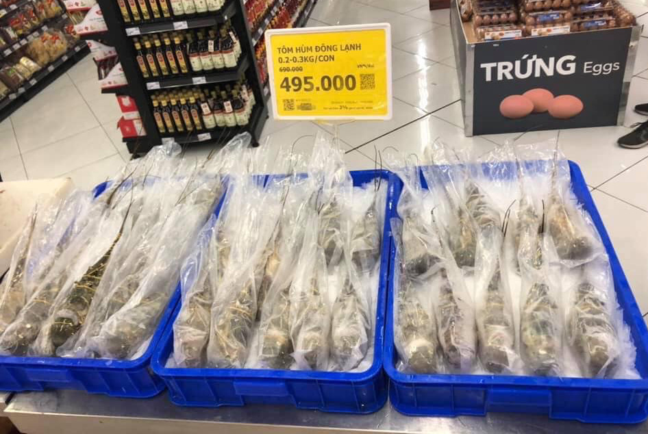 Siêu thị vào cuộc giải cứu tôm hùm gặp khó do virus corona, giá chưa đến 500.000 đồng/kg - Ảnh 1. Siêu thị vào cuộc giải cứu tôm hùm gặp khó do virus corona, giá chưa đến 500.000 đồng/kg - Ảnh 1.