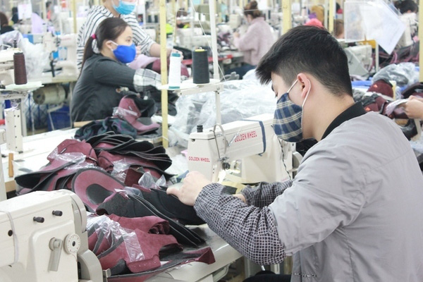 Thôi đừng dồn nhau hoảng loạn, phải sống và làm việc nhiều hơn - Ảnh 2. Thôi đừng dồn nhau hoảng loạn, phải sống và làm việc nhiều hơn - Ảnh 2.