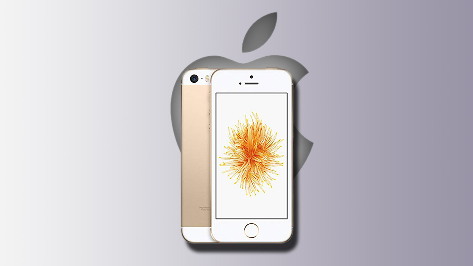 Apple thừa nhận thiếu hụt iPhone do ảnh hưởng từ virus corona - Ảnh 2.
