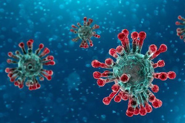 Cẩm nang 10 câu hỏi - đáp để chủ động ngừa virus corona - Ảnh 1. Cẩm nang 10 câu hỏi - đáp để chủ động ngừa virus corona - Ảnh 1.