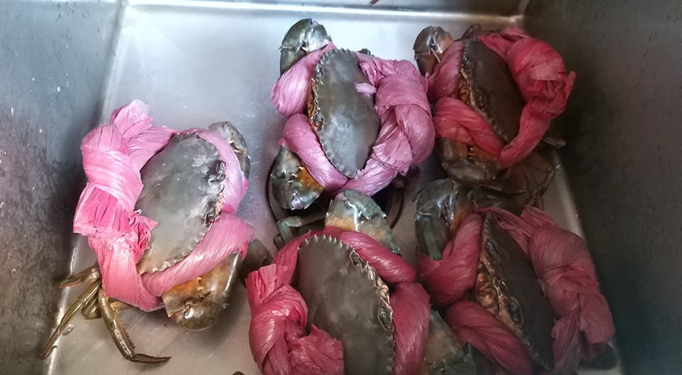 Mua hơn 3kg cua Cà Mau tận vựa, khách Sài Gòn ngỡ ngàng khi nhận bọc cua với 1,5 kg dây - Ảnh 1.