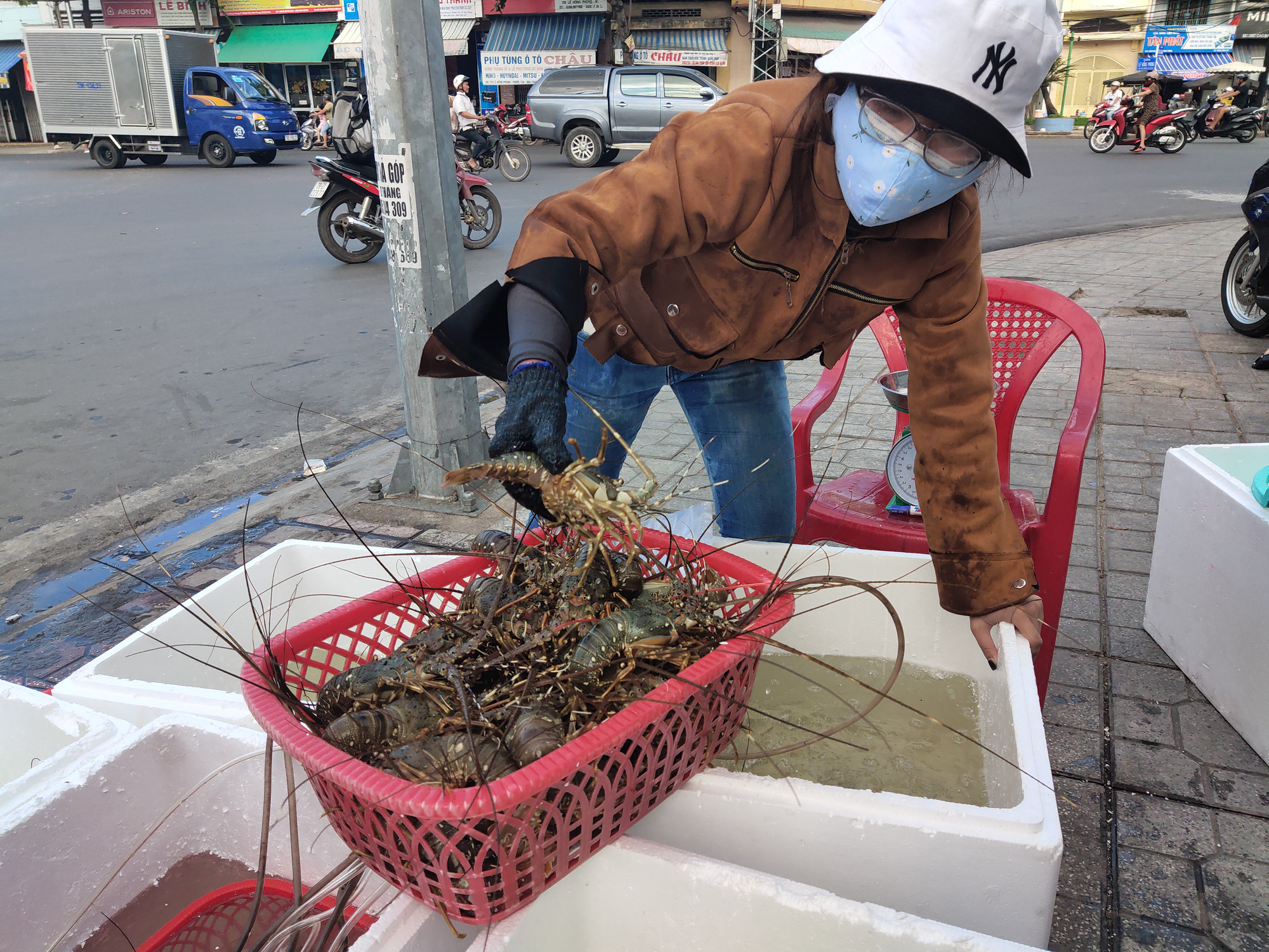 "Giải cứu" tôm hùm và câu chuyện người nuôi tôm - Ảnh 12.