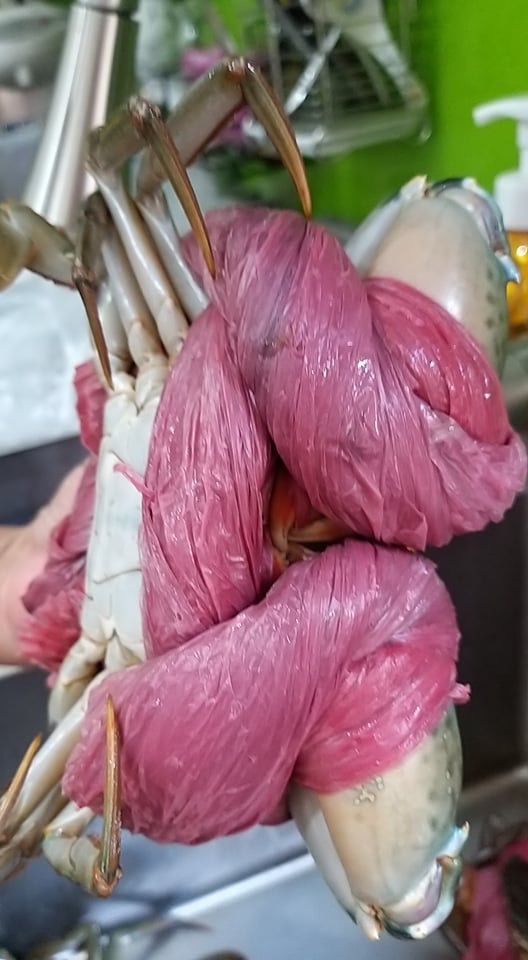 Mua hơn 3kg cua Cà Mau tận vựa, khách Sài Gòn ngỡ ngàng khi nhận bọc cua với 1,5 kg dây - Ảnh 2.