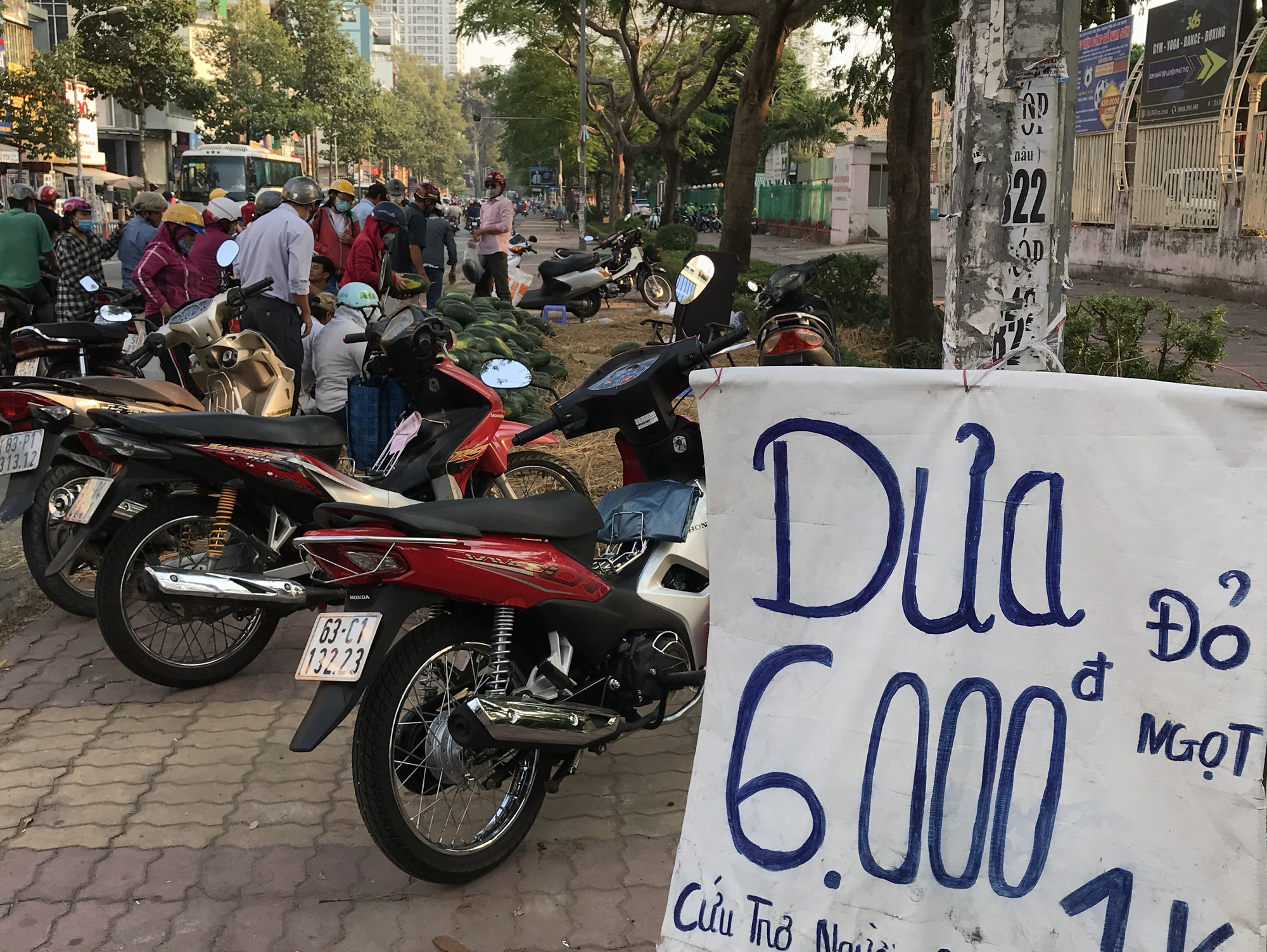 Vì sao giá dưa hấu tại vườn đã tăng trở lại nhưng TP HCM vẫn giải cứu chỉ 6.000 đồng/kg? - Ảnh 1.