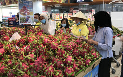 5 tấn thanh long Việt Nam qua Úc, chuẩn bị ngày hội thưởng thức thanh long ruột đỏ
