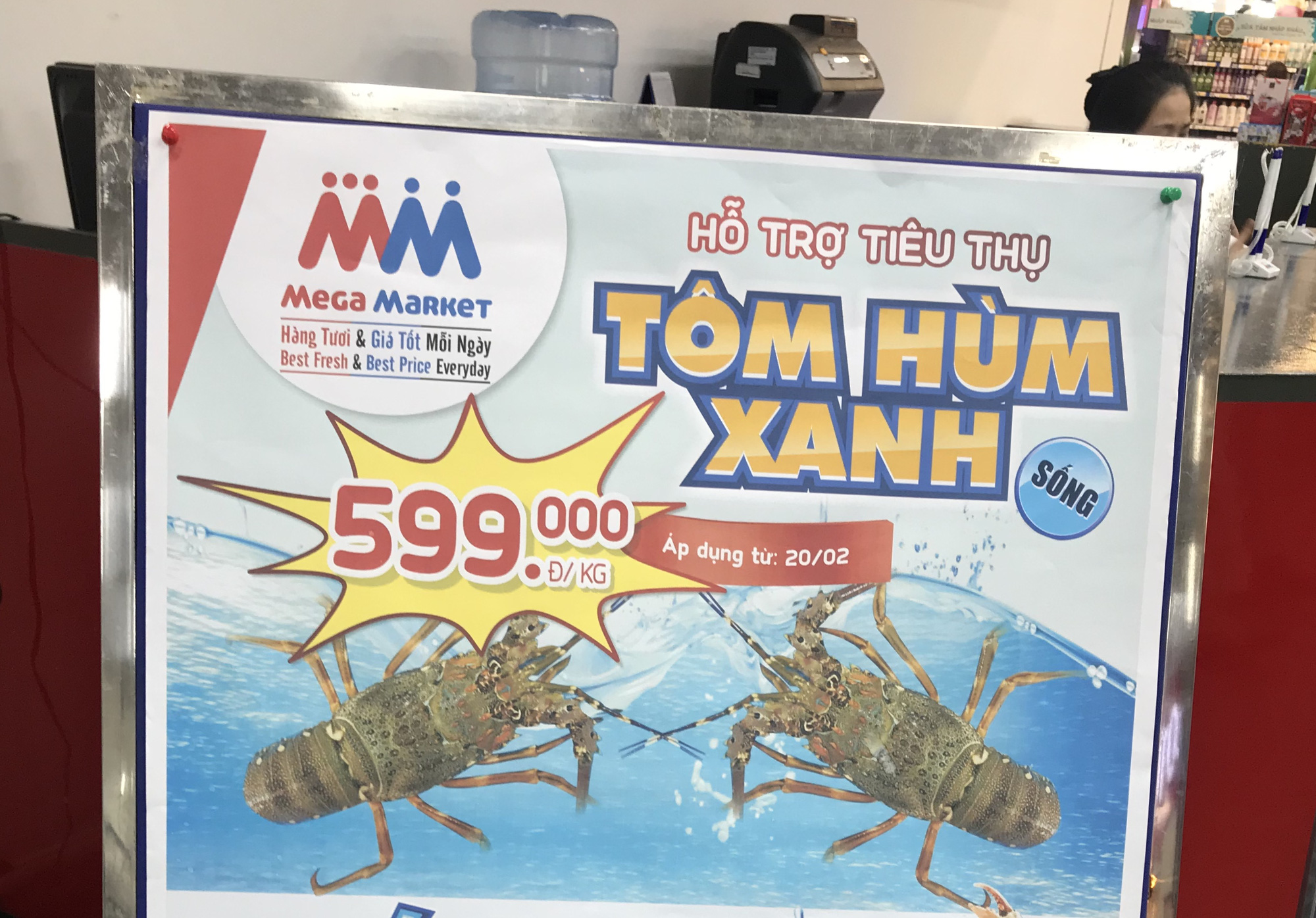Sau Aeon, VinMart thì Lotte Mart, MM Mega Market cũng vào cuộc giải cứu tôm hùm, tôm sống chỉ 599.000 đồng/kg - Ảnh 1. Sau Aeon, VinMart thì Lotte Mart, MM Mega Market cũng vào cuộc giải cứu tôm hùm, tôm sống chỉ 599.000 đồng/kg - Ảnh 1.