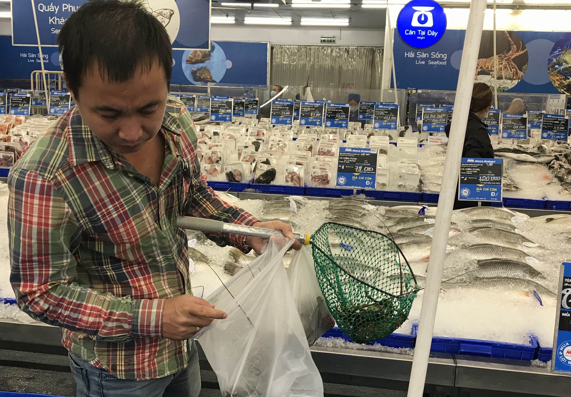 Cận cảnh giải cứu tôm hùm ở Sài Gòn, mới 9h sáng đã hết sạch, có siêu thị chế biến miễn phí cho khách ngay tại chỗ - Ảnh 4. Cận cảnh giải cứu tôm hùm ở Sài Gòn, mới 9h sáng đã hết sạch, có siêu thị chế biến miễn phí cho khách ngay tại chỗ - Ảnh 4.