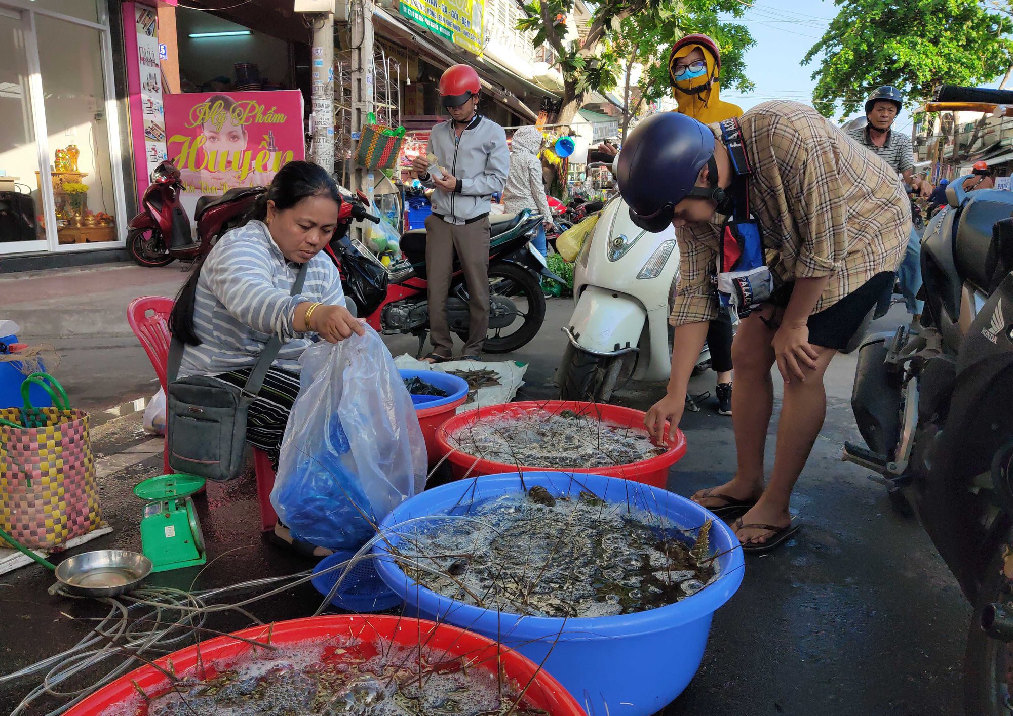 "Giải cứu" tôm hùm và câu chuyện người nuôi tôm - Ảnh 1.