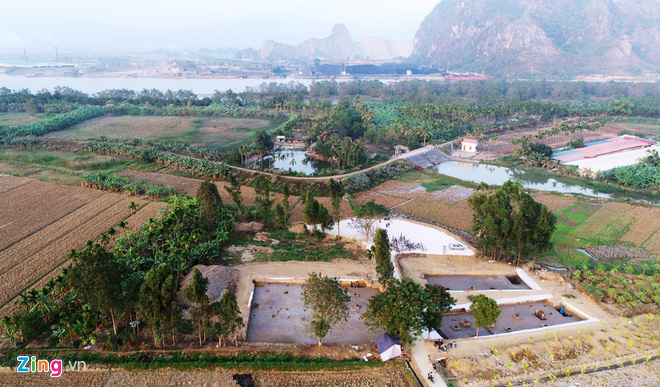 Hải Phòng muốn thu hồi dự án khai khoáng để bảo tồn bãi cọc Bạch Đằng - Ảnh 1.