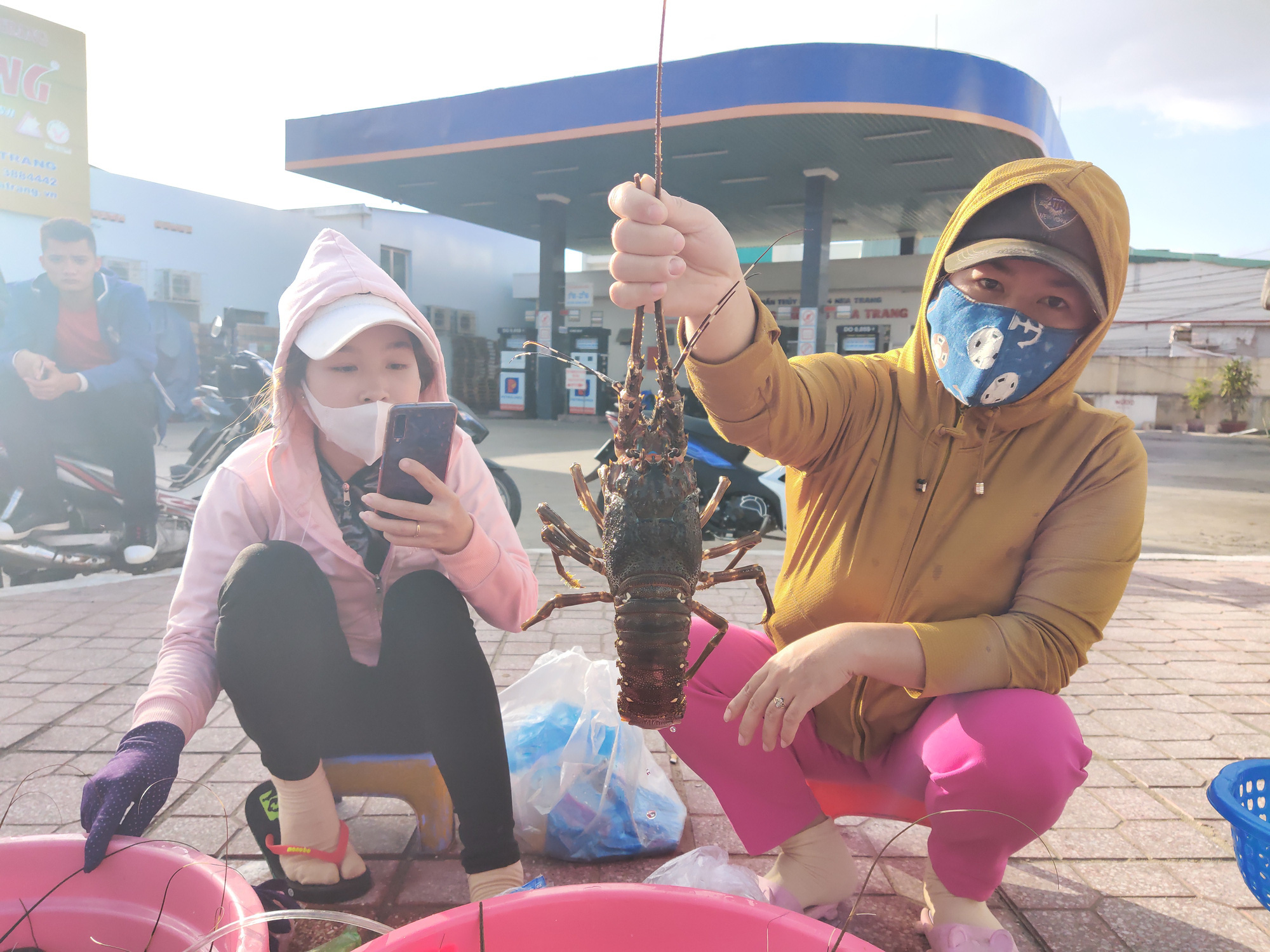 Vì sao luật pháp nhiều nước cấm ướp đá, phải gây mê trước khi làm thịt tôm hùm? - Ảnh 1. Vì sao luật pháp nhiều nước cấm ướp đá, phải gây mê trước khi làm thịt tôm hùm? - Ảnh 1.