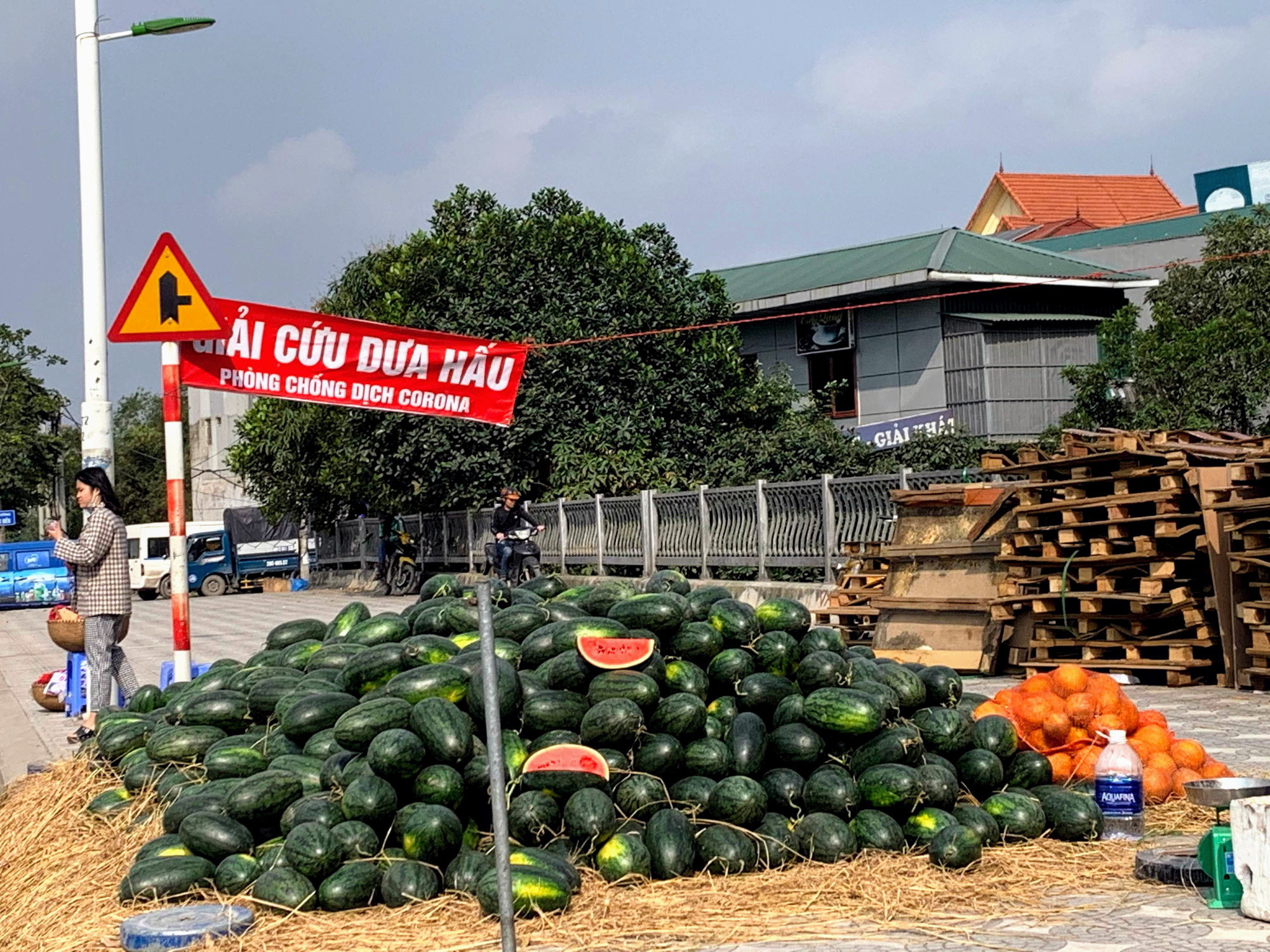 Hàng trăm tấn khoai lang nằm dài trên đường phố Hà Nội chờ 'giải cứu' - Ảnh 12. Hàng trăm tấn khoai lang nằm dài trên đường phố Hà Nội chờ 'giải cứu' - Ảnh 12.
