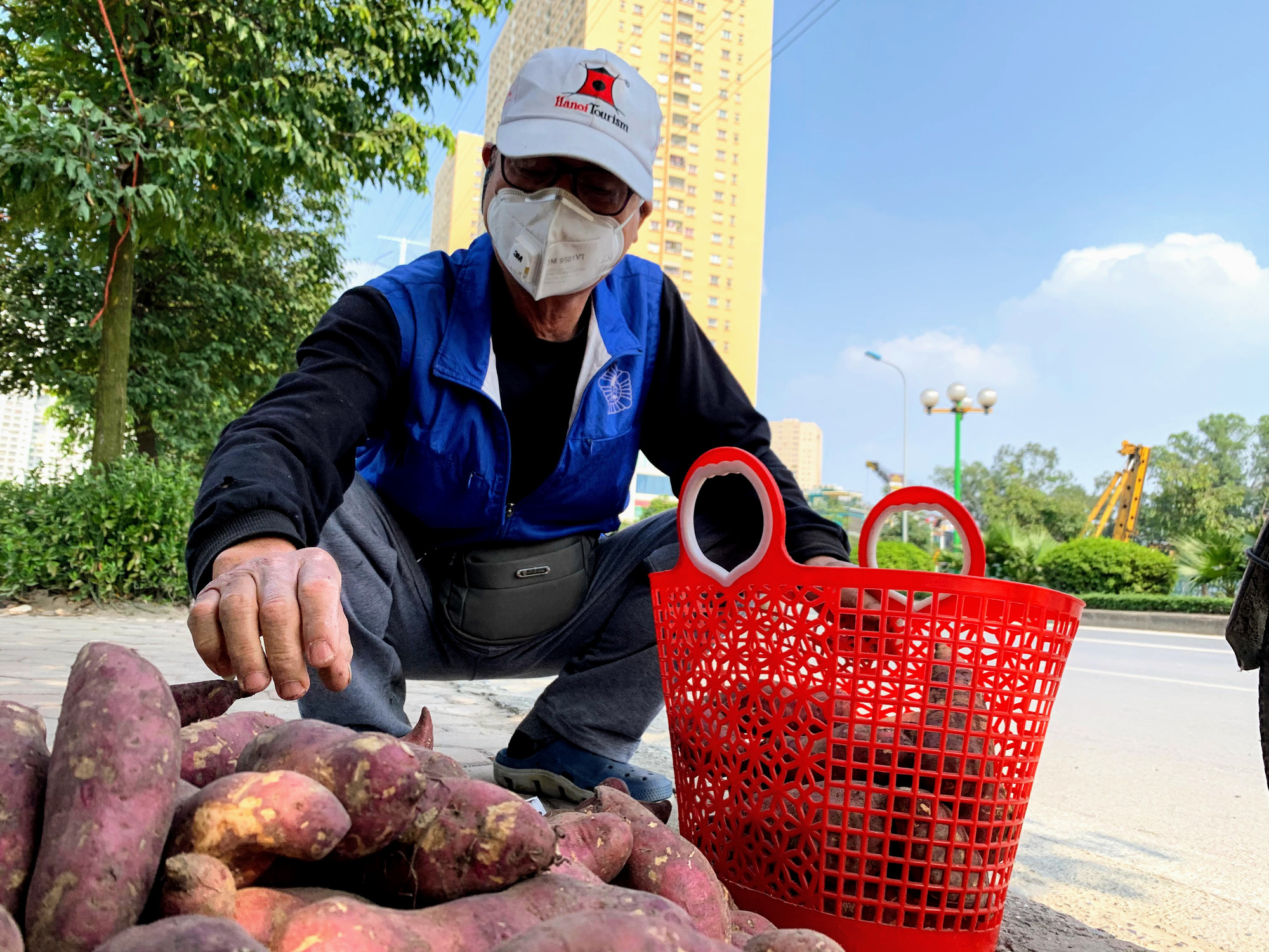 Hàng trăm tấn khoai lang nằm dài trên đường phố Hà Nội chờ 'giải cứu' - Ảnh 7. Hàng trăm tấn khoai lang nằm dài trên đường phố Hà Nội chờ 'giải cứu' - Ảnh 7.