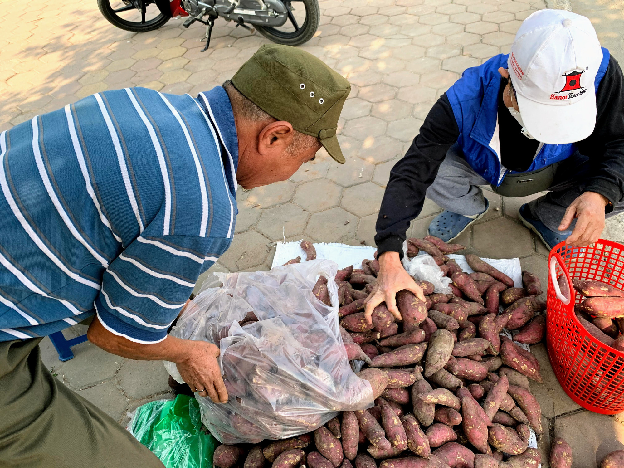Hàng trăm tấn khoai lang nằm dài trên đường phố Hà Nội chờ 'giải cứu' - Ảnh 8. Hàng trăm tấn khoai lang nằm dài trên đường phố Hà Nội chờ 'giải cứu' - Ảnh 8.