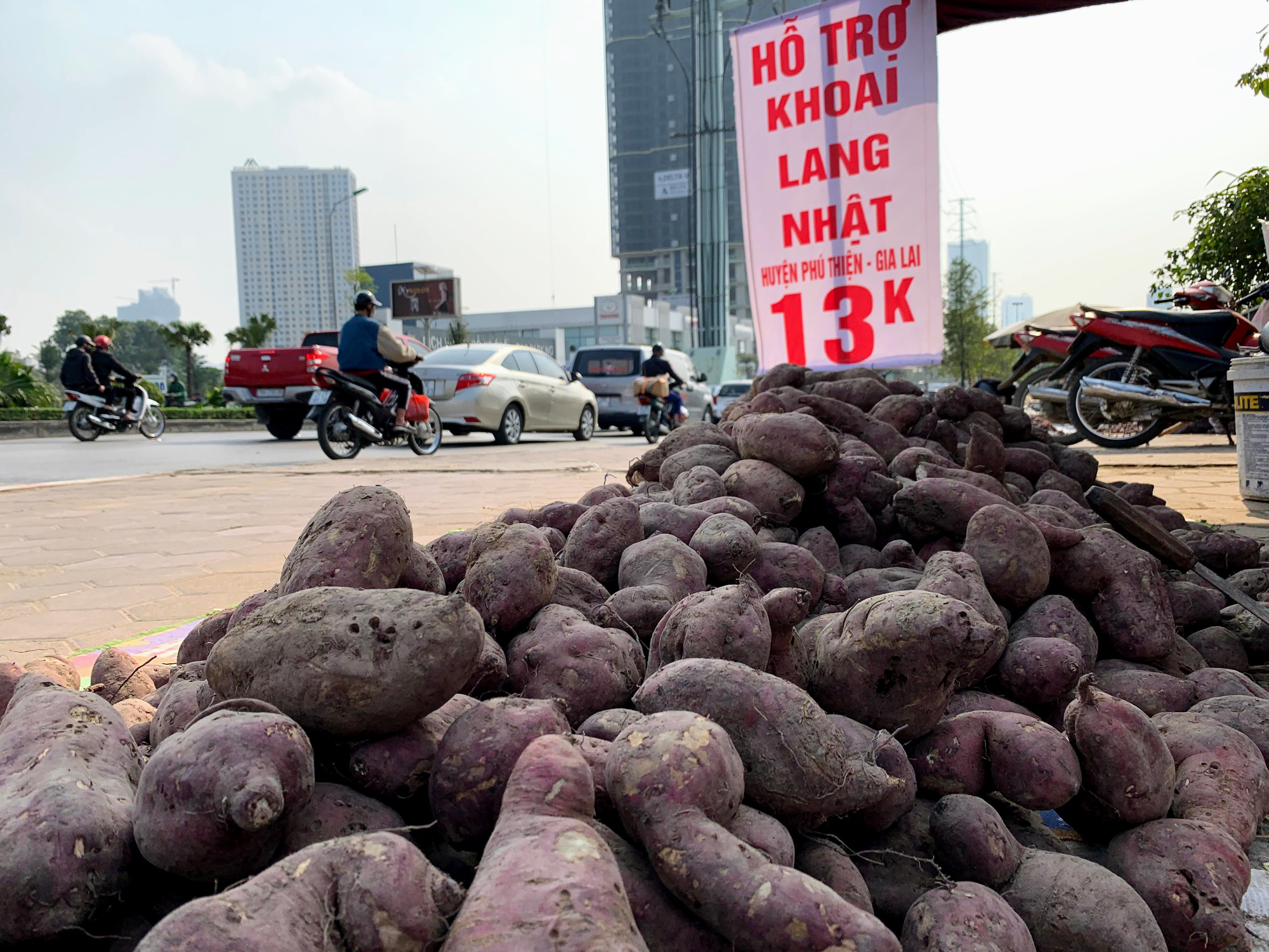 Hàng trăm tấn khoai lang nằm dài trên đường phố Hà Nội chờ 'giải cứu' - Ảnh 2. Hàng trăm tấn khoai lang nằm dài trên đường phố Hà Nội chờ 'giải cứu' - Ảnh 2.