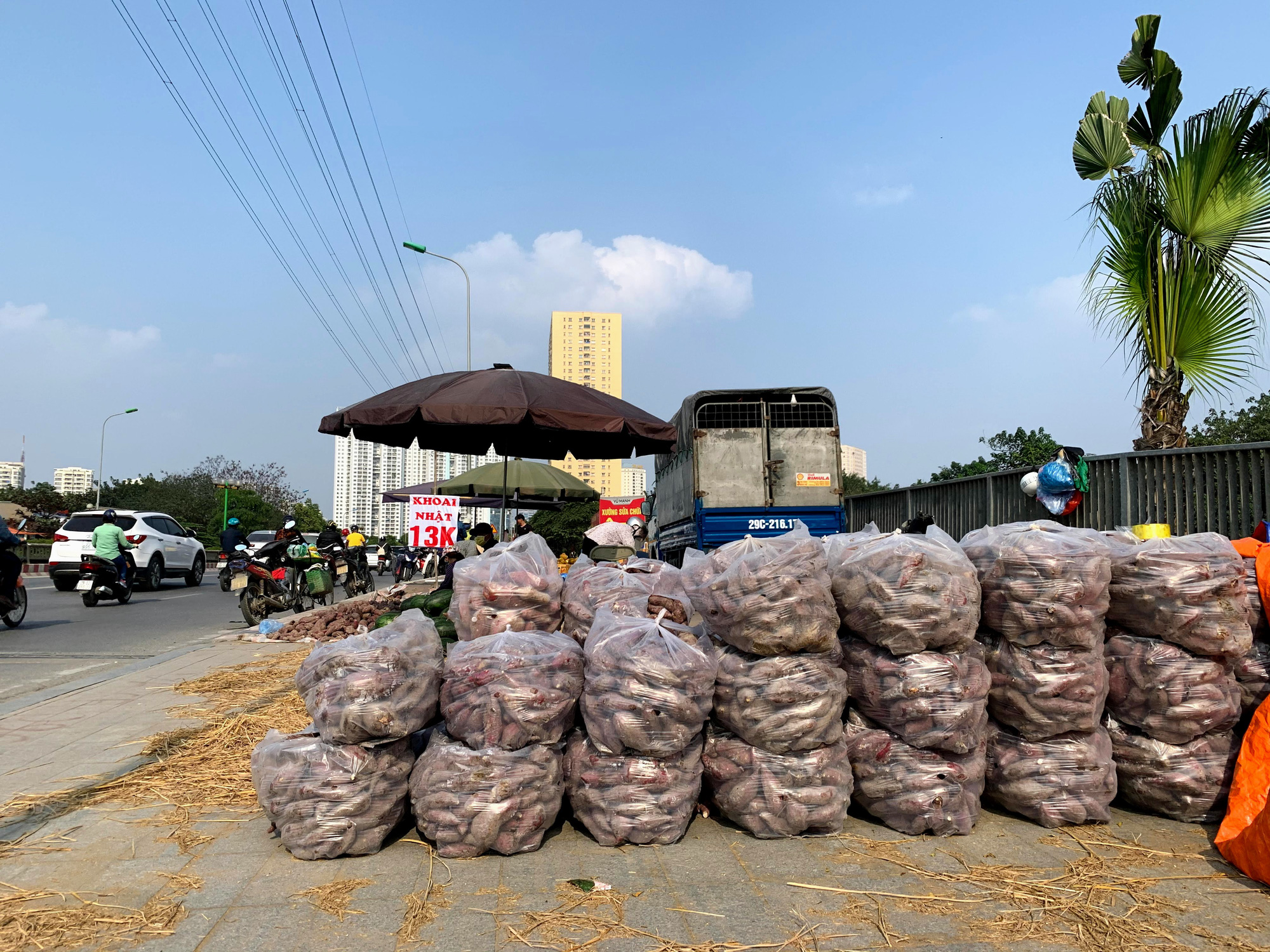 Hàng trăm tấn khoai lang nằm dài trên đường phố Hà Nội chờ 'giải cứu' - Ảnh 9. Hàng trăm tấn khoai lang nằm dài trên đường phố Hà Nội chờ 'giải cứu' - Ảnh 9.