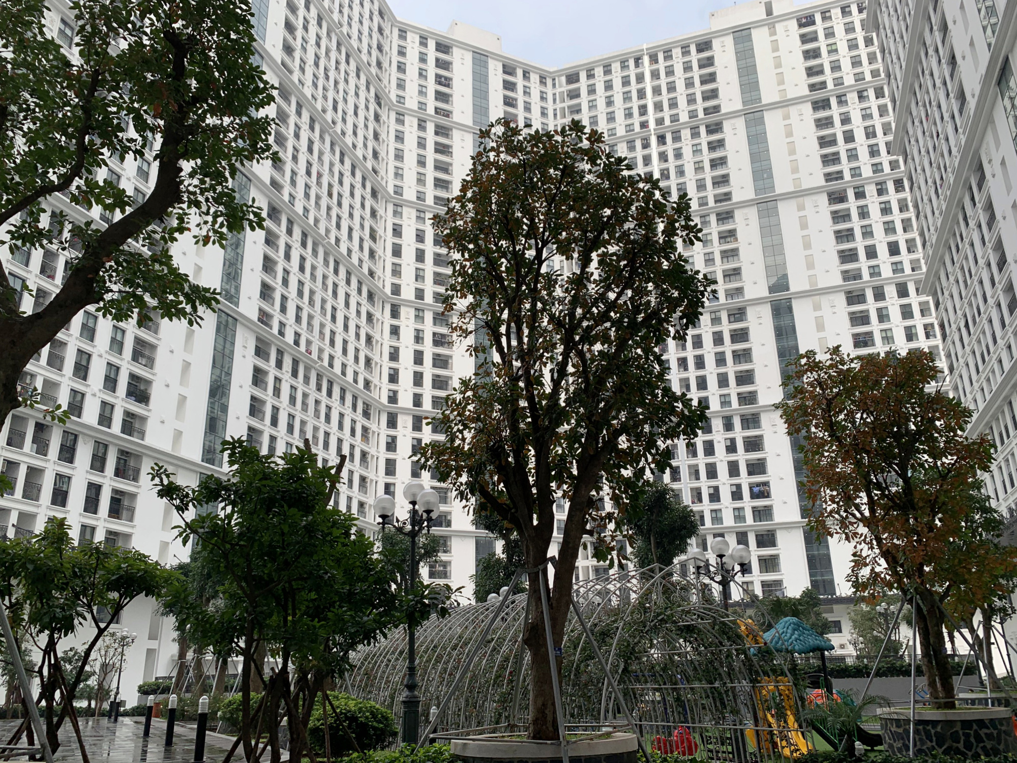Người Hàn Quốc ở Hà Nội 'hoang mang' vì dịch COVID-19 - Ảnh 1. Người Hàn Quốc ở Hà Nội 'hoang mang' vì dịch COVID-19 - Ảnh 1.