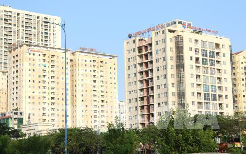 Quản lí đất công tại TP HCM – Bài 1: Cho thuê tràn lan - Ảnh 2. Quản lí đất công tại TP HCM – Bài 1: Cho thuê tràn lan - Ảnh 2.