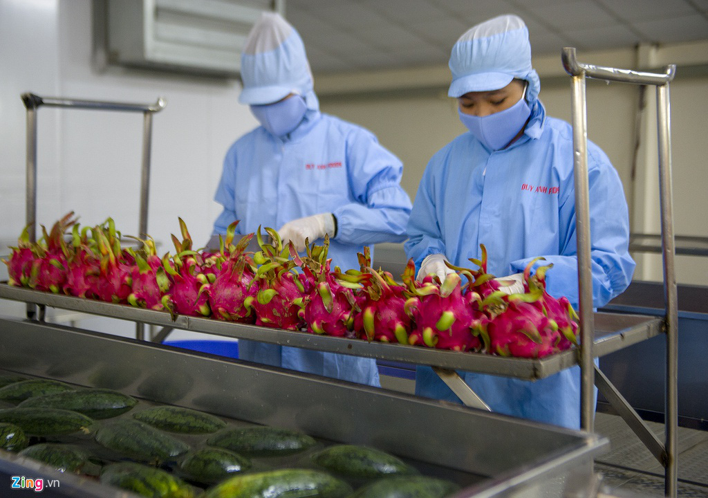 Bún dưa hấu, bánh tráng thanh long xuất khẩu - Ảnh 6. Bún dưa hấu, bánh tráng thanh long xuất khẩu - Ảnh 6.