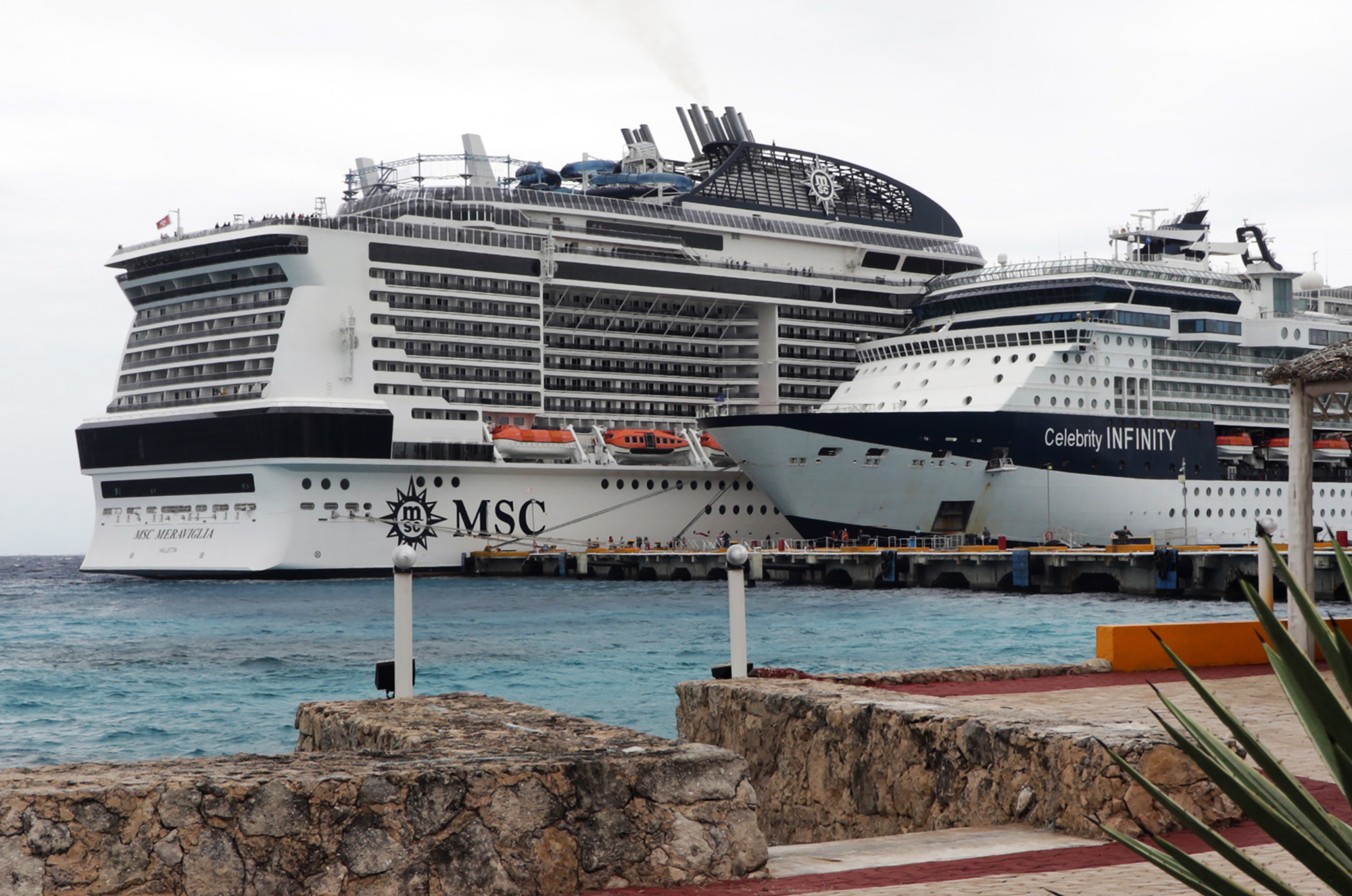 Hành khách Anh tử vong trên tàu Diamond Princess tại Nhật Bản vì virus corona - Ảnh 3. Hành khách Anh tử vong trên tàu Diamond Princess tại Nhật Bản vì virus corona - Ảnh 3.