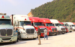 362 container nông sản kẹt ở cửa khẩu đã qua được Trung Quốc, trong nước bắt đầu giải cứu thanh long, dưa hấu vì virus corona