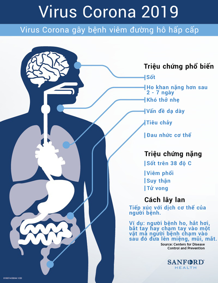 Theo các bác sĩ và chuyên gia y tế: Khách du lịch cần phải làm gì trước dịch virus Corona? - Ảnh 3. Theo các bác sĩ và chuyên gia y tế: Khách du lịch cần phải làm gì trước dịch virus Corona? - Ảnh 3.