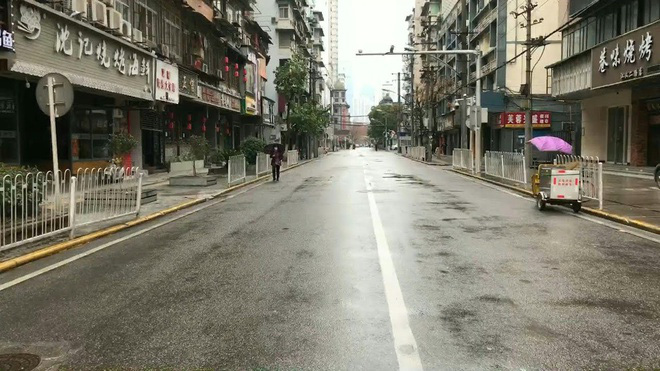 Hàng trăm triệu gia cầm ở Trung Quốc có thể chết đói vì virus Vũ Hán - Ảnh 2. Hàng trăm triệu gia cầm ở Trung Quốc có thể chết đói vì virus Vũ Hán - Ảnh 2.