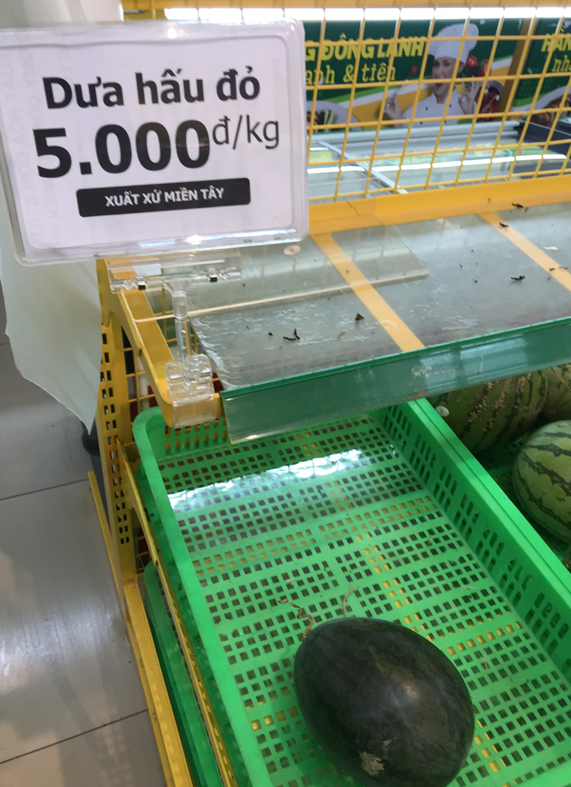 Người Sài Gòn đổ xô giải cứu dưa hấu, thanh long từ 4.200 đồng/kg trong siêu thị, mới 8h, có nơi đã hết sạch - Ảnh 14.