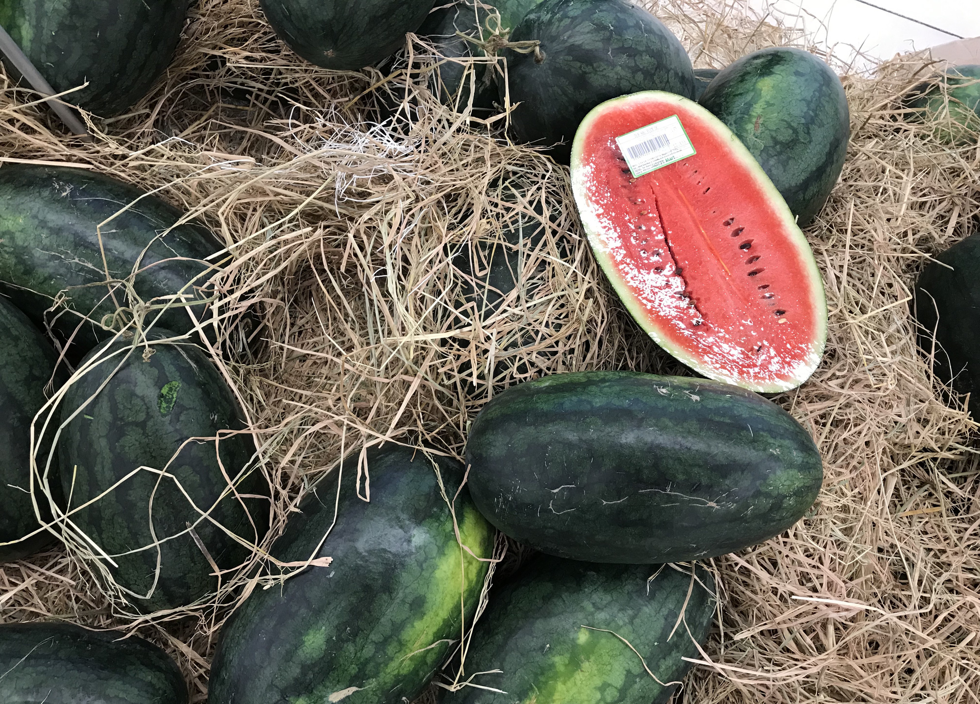 Người Sài Gòn đổ xô giải cứu dưa hấu, thanh long từ 4.200 đồng/kg trong siêu thị, mới 8h, có nơi đã hết sạch - Ảnh 11.