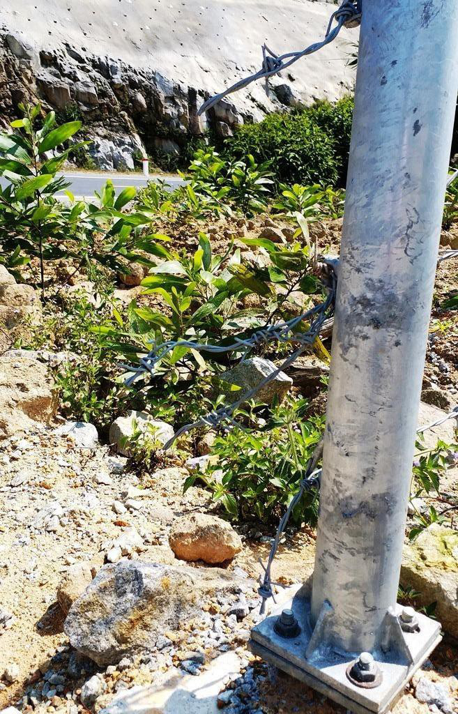 'Vỡ trận' quản lý, bảo vệ hàng rào sắt tuyến đường cao tốc 11 nghìn tỉ? - Ảnh 7. 'Vỡ trận' quản lý, bảo vệ hàng rào sắt tuyến đường cao tốc 11 nghìn tỉ? - Ảnh 7.